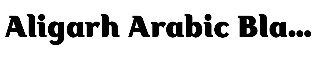 Aligarh Arabic Black